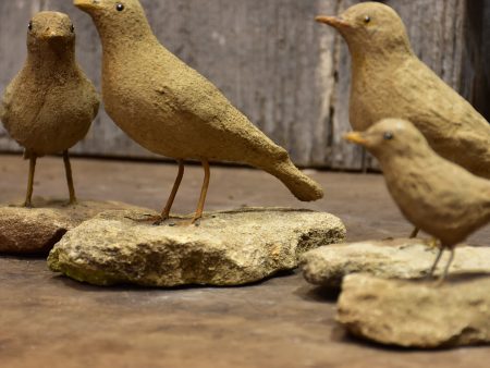 Four French artisan birds For Cheap