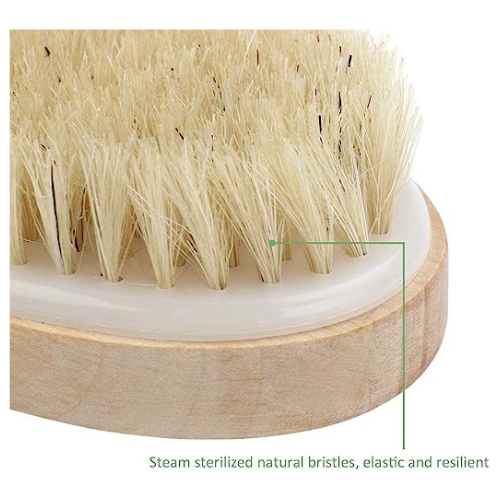 KWEL Wooden Bath Brush for Dry brushing | Wet and Dry Bath Brush for Cellulite and Lymphatic, Suitable for all Skin Types (Oval) Online Hot Sale