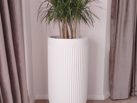 Flute Tall Japi Planter  (click for details) on Sale