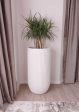 Flute Tall Japi Planter  (click for details) on Sale