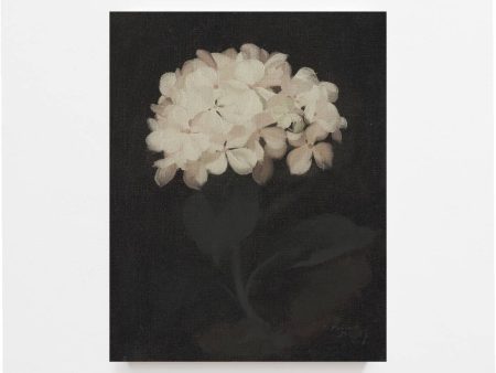 Hydrangea Vintage Art Print Online