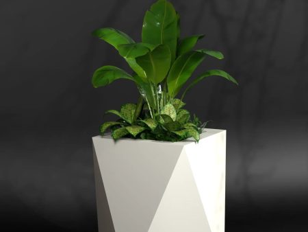 Pharaoh S - Small Size Plant Pot | Fiberglass Planter For Cheap