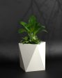 Pharaoh S - Small Size Plant Pot | Fiberglass Planter For Cheap