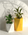 Pharaoh Duo - Combo of 2 Plant Pots | Pharaoh Combo For Sale