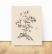 Vintage Art Print- Flowers Discount