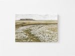 Flower Fields Vintage  Art Print For Cheap