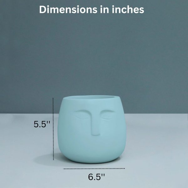 Doux - Desk Planter for gifting Online now