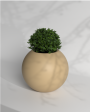 Pearl 7 - Medium Size Plant Pot for Indoors and Outdoors For Sale