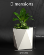 Pharaoh S - Small Size Plant Pot | Fiberglass Planter For Cheap