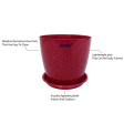 KWEL Divinity Pot 8inch with Bottom Tray For Home, Garden, Office, Maroon. Discount