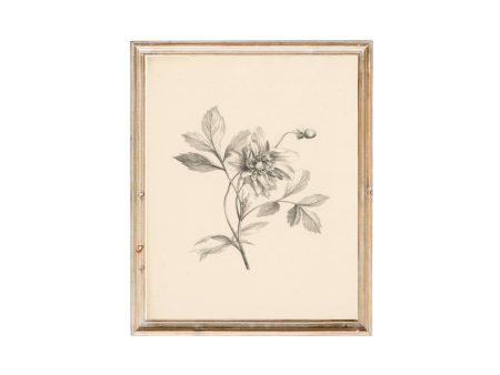 Vintage Art Print- Flowers For Discount