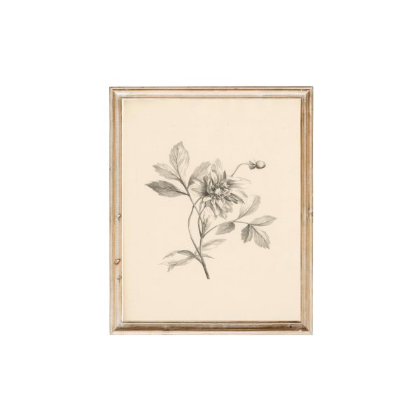 Vintage Art Print- Flowers For Discount