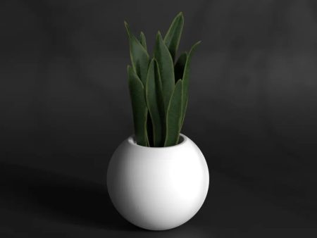 Pearl 11 - Tabletop plant pot on Sale