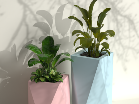 Pharaoh Duo - Combo of 2 Plant Pots | Pharaoh Combo For Sale