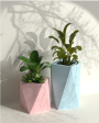 Pharaoh Duo - Combo of 2 Plant Pots | Pharaoh Combo For Sale