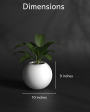 Pearl 9 - Medium Size Plant Pot for Indoors and Outdoors For Sale