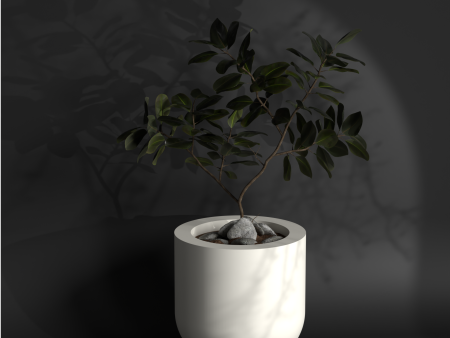 Polo S - Desk Planter | Tabletop decor For Sale