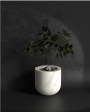 Polo S - Desk Planter | Tabletop decor For Sale