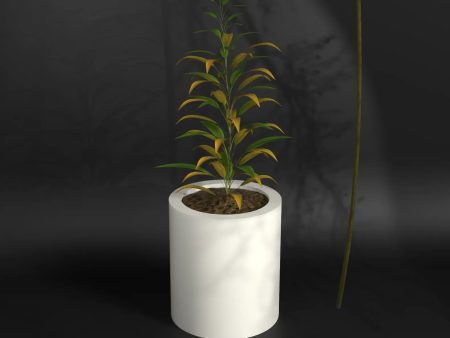 Atada S - Frp planter for indoors and outdoors Sale