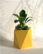 Pharaoh S - Small Size Plant Pot | Fiberglass Planter For Cheap